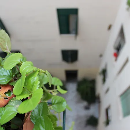 Bed and breakfast Galilei 2*